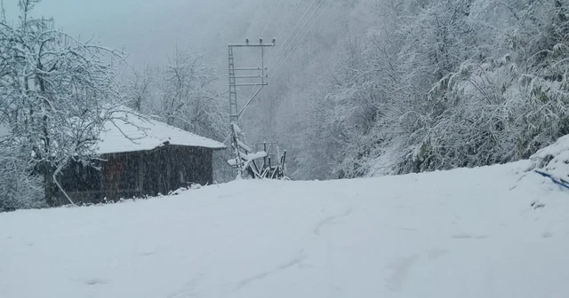 Salıpazarı ilçesi beyaz örtüyle kaplandı Samsun Haberleri