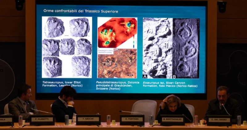 İtalya da 200 milyon yıl öncesinden kaldığı düşünülen binlerce dinozor ayak izi keşfedildi