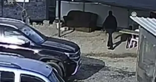 Antalya da beslediği kangalın saldırısına uğrayan adam yaralandı