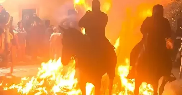 İspanya da atlar geleneksel arınma ritüeli için ateşten atladı VİDEO İZLE
