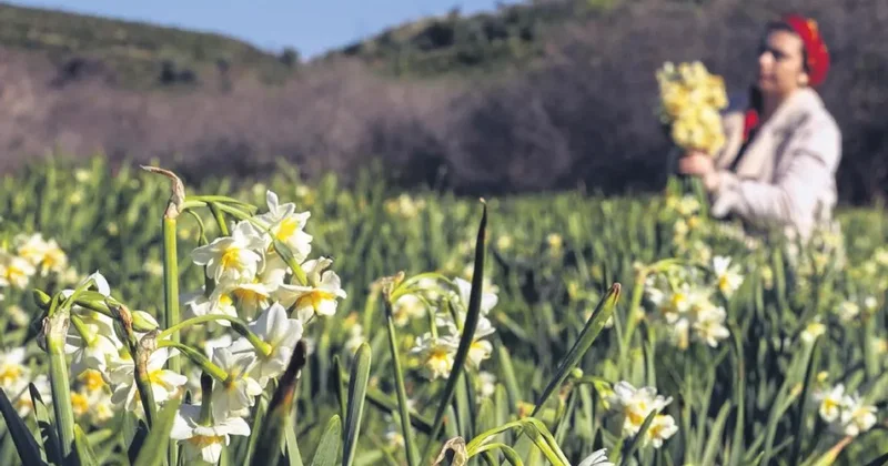 Aile bütçesine mis kokulu destek