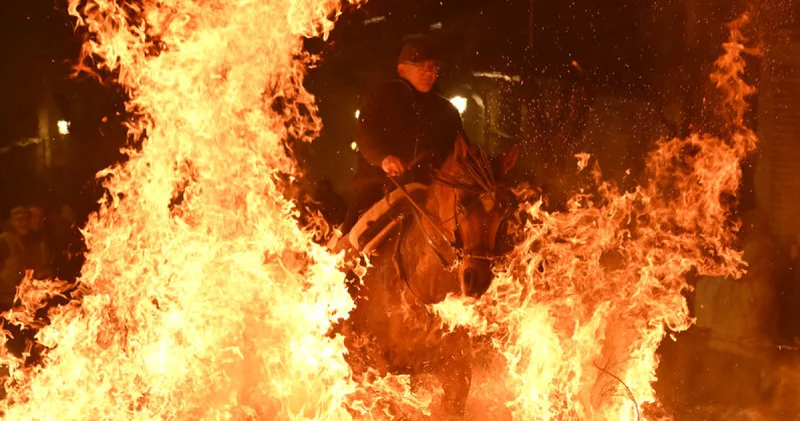 İspanya da kutsanan atlar ateşin üzerinden atlatıldı