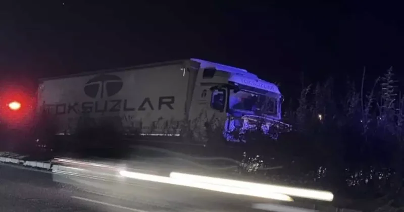 Giresun’da aydınlatma direğine çarpan tırın sürücüsü hayatını kaybetti