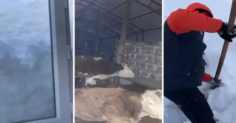 Sosyal medyada gündem olan Yardım çığlığı asılsız çıktı