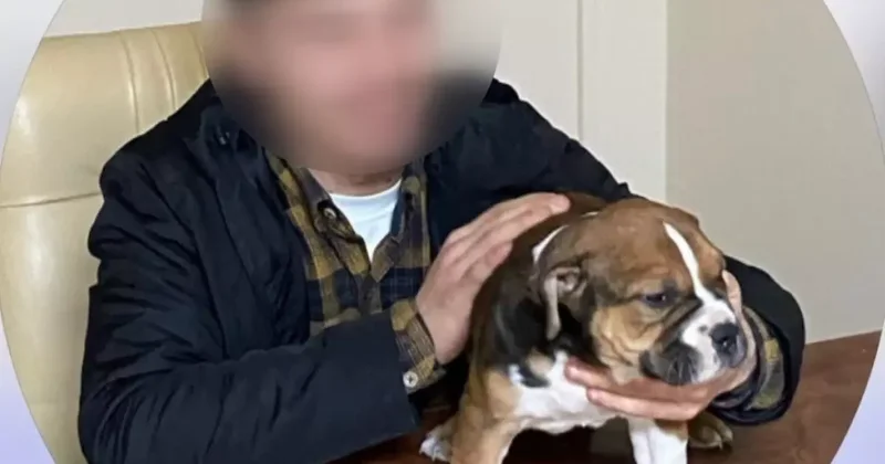 Kardeşler Arasında Cinayet