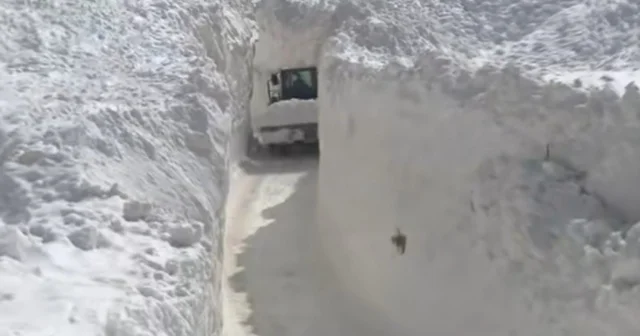 Çığ nedeniyle kapanan köy yolunda zorlu karla mücadele çalışması Van Haberleri