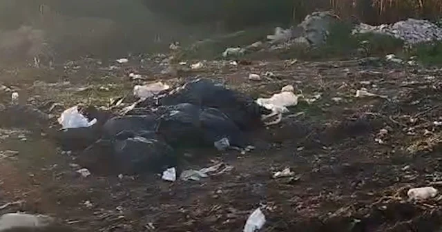 Vatandaşların kirlettiği ormanlık alanı muhtar temizledi Bolu Haberleri