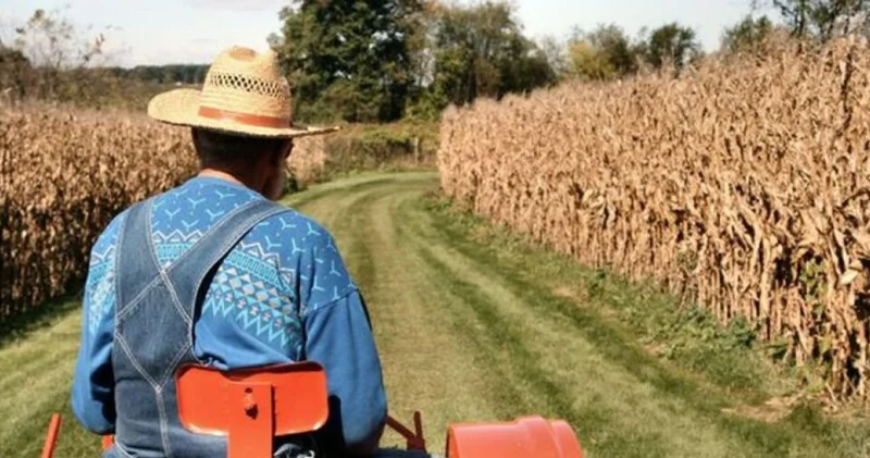 Mazot ve gübre desteği yattı mı, ne zaman yatacak? 2026 Mazot ve gübre desteği sorgulama nasıl yapılır?