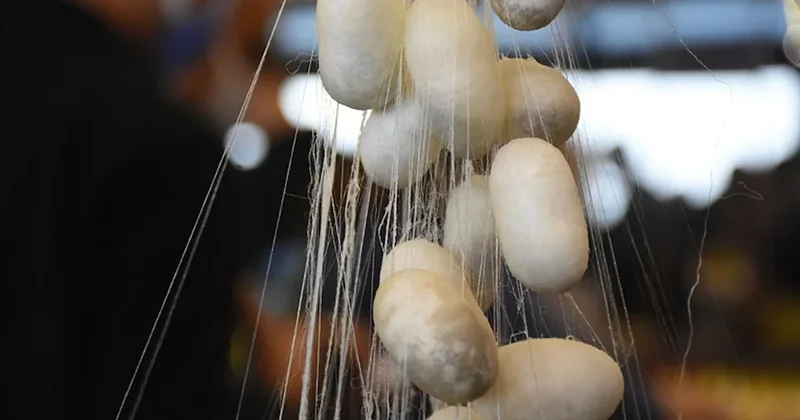 Dünyada sadece 5 ülke üretiyor: Türkiye de o listede Sözcü Gazetesi