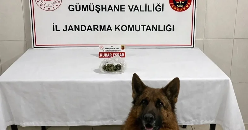 Gümüşhane’de uyuşturucu operasyonu