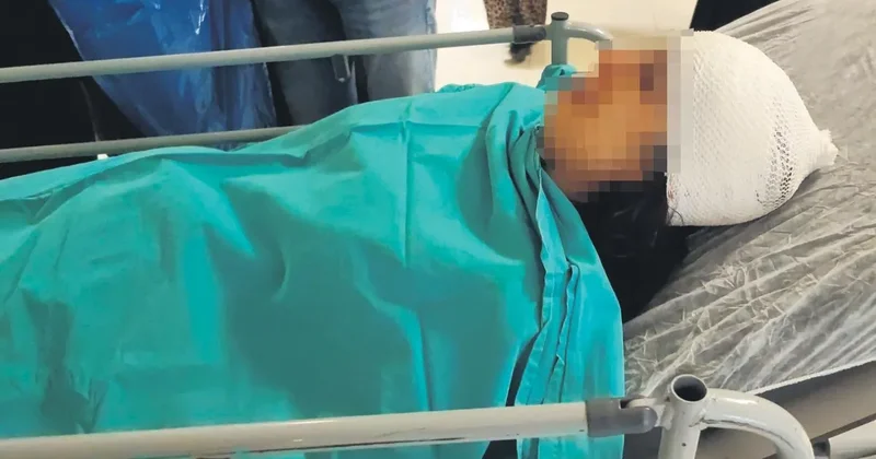 Sokak köpekleri dehşet saçtı