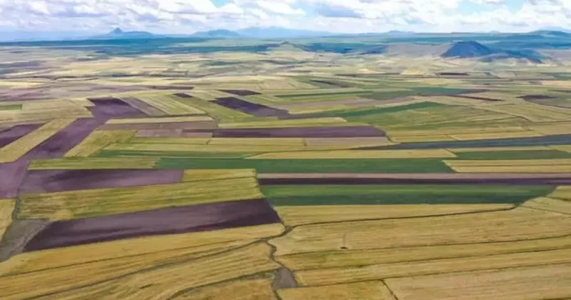 Arsa ve tarla satışları 2025 te 1,6 milyonu aştı