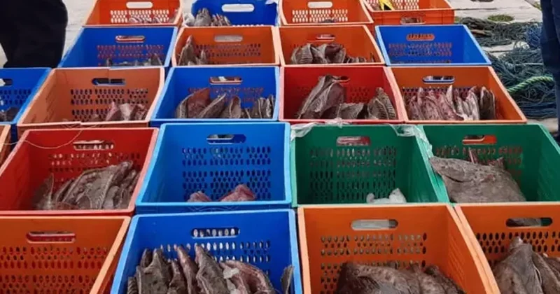 Denizden servetle dönen balıkçılar pişman oldu: Hem ellerindeki gitti, hem dev ceza geldi Sözcü Gazetesi