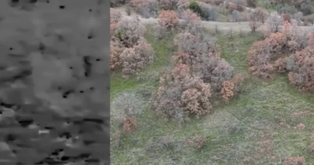 Termal drone destekli denetimde 2 kaçak avcı yakalandı Uşak Haberleri