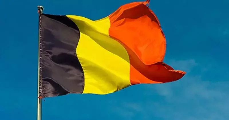 Belçika daki doğal gaz kesintisinden 12 bin hane etkilendi