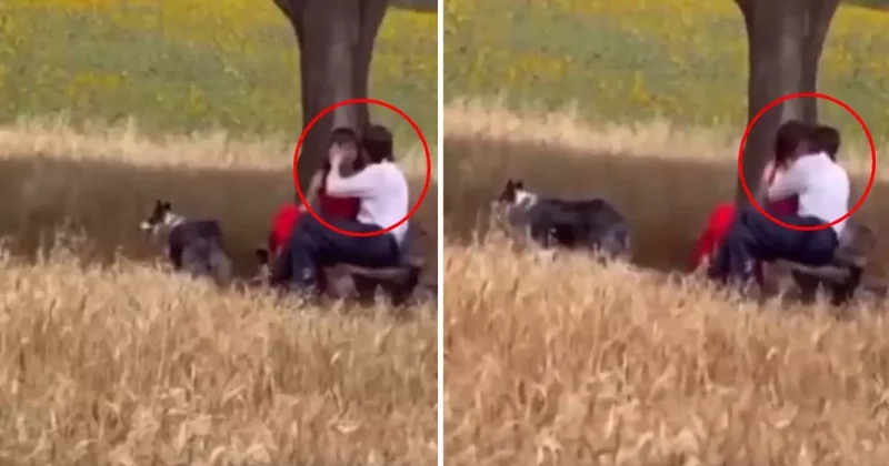 Yer: Adana! Vatandaşlar öpüşme sahnesine kayıtsız kalamadı: Günah günah