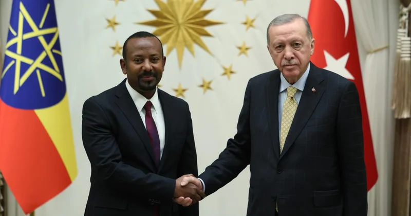 Afrika Boynuzu nda yeni jeopolitik denge