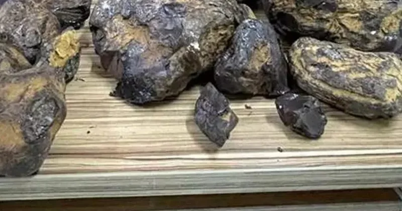 Sahillerde adım adım arıyorlar: Taşa benziyor amsa servet değerinde Sözcü Gazetesi