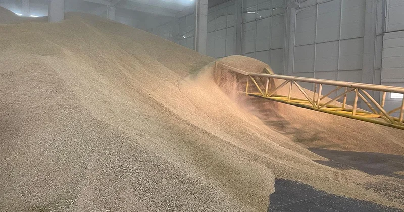 TMO, stoklarındaki buğdayı satışa sundu