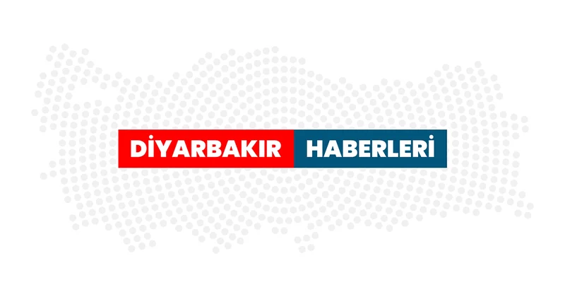 Diyarbakır merkezli fuhuş operasyonlarında 12 zanlı tutuklandı Diyarbakır Haberleri