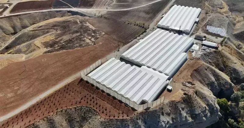 Kazançsız araziye ekti, aynı arazide yüksek verimle üretim yapıyor