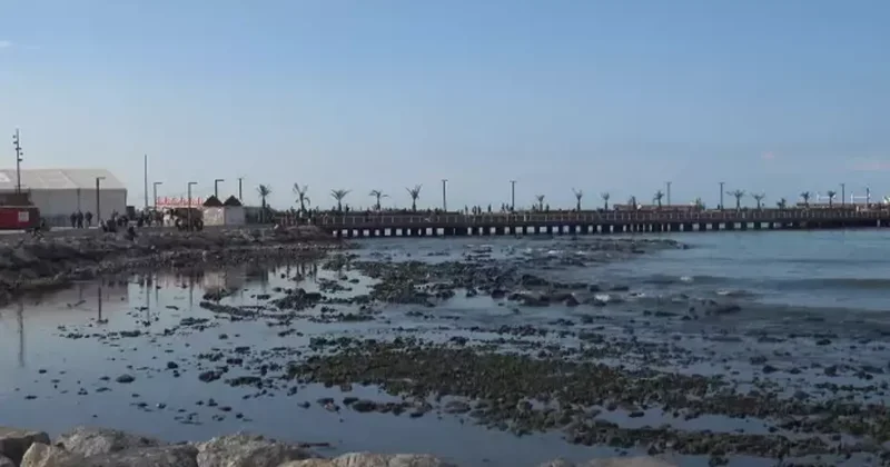 Hatay da korkutan görüntü: Fırtına sonrası deniz suyu çekildi! Karada balık tuttular...