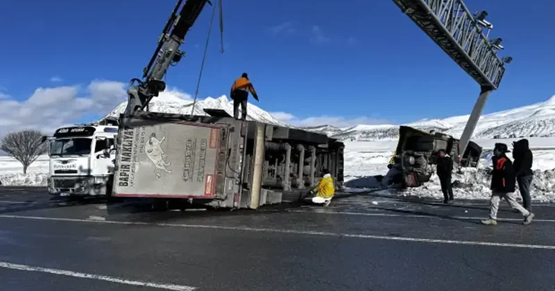 Bitlis te büyükbaş hayvan yüklü iki tır devrildi! Bazı hayvanlar telef oldu