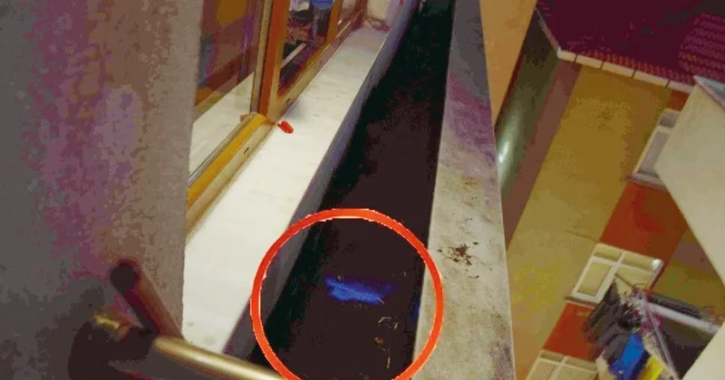 Vahşeti ele veren mavi ışık