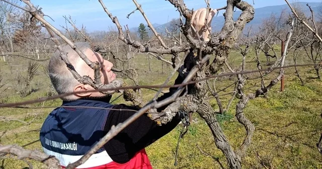 Simav da yem bitkileri ve hububat ekili alanlarda verim çalışması yapıldı Kütahya Haberleri