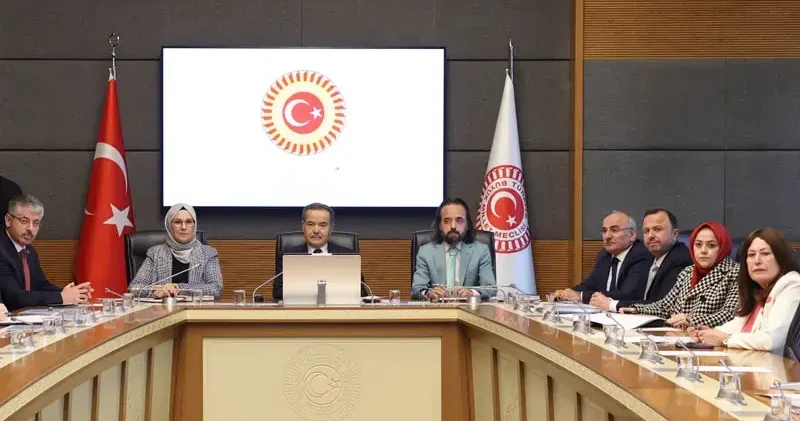 Komisyon raporu: Çocukların korunması için Cumhurbaşkanlığı na bağlı birim oluşturulmalı