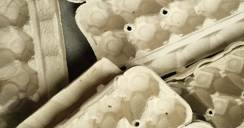 Bahçıvanların yumurta kartonlarını toplamasının altındaki zekice sebep: Çöpe atmayın Sözcü Gazetesi