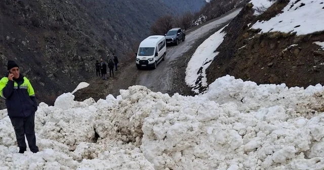 Çatak ta çığ düştü: 1 mahalle ve 8 mezraya ulaşımı sağlanamıyor Van Haberleri