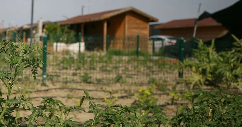 Tarım arazilerine hobi bahçesi dönemi kapanıyor: Ya Tarım ya Yaptırım! İş Yaşam Haberleri