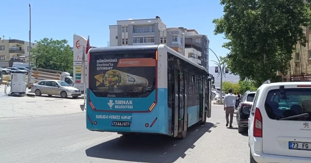 Şırnak ta bayram boyunca şehir içi ulaşım ücretsiz olacak Şırnak Haberleri