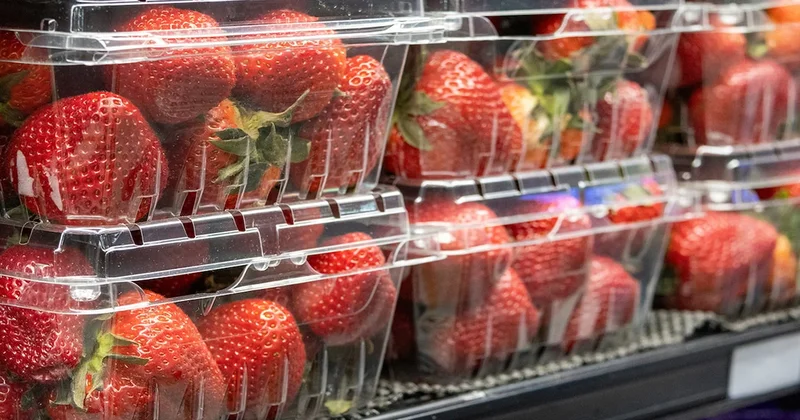 Yüksek oranda böcek ilacı tespit edildi: Tüketmeyin uyarısı yapıldı Sözcü Gazetesi