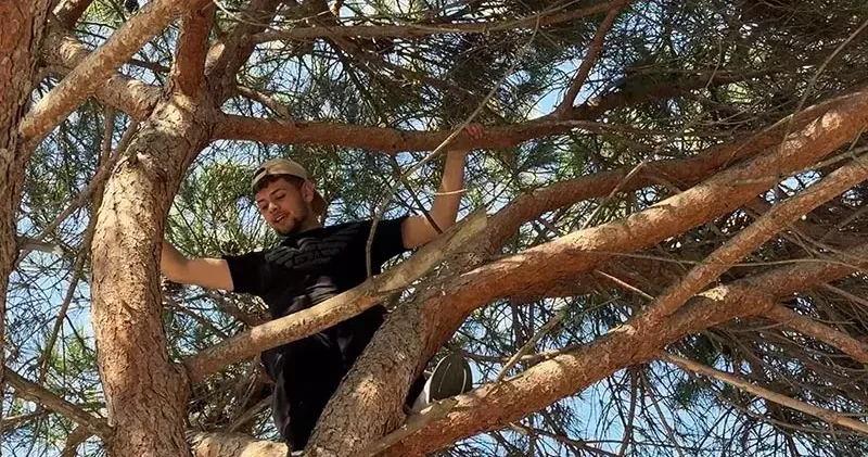 Avcılar’da çıktığı ağaçta mahsur kaldı; itfaiye merdiveniyle kurtarıldı
