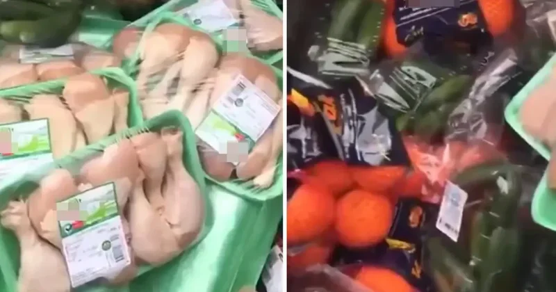 Paket paket tavuklar çöğe gitti