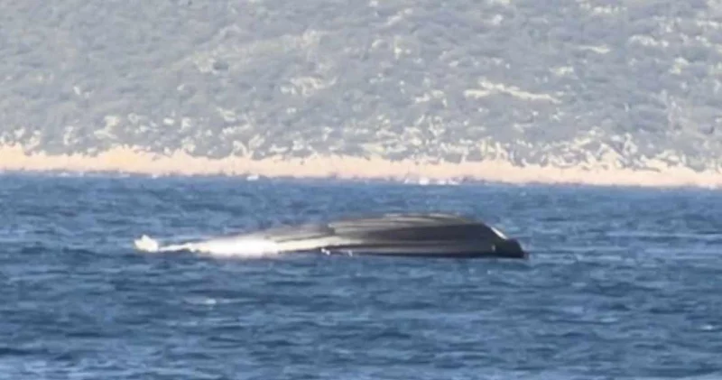 Türkiye’nin dibinde Frontex Botu battı