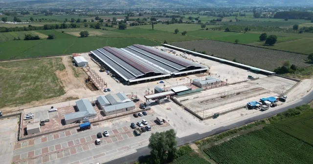 İnegöl Belediyesi hayvan pazarının kotra ihale tarihi belli oldu Bursa Haberleri