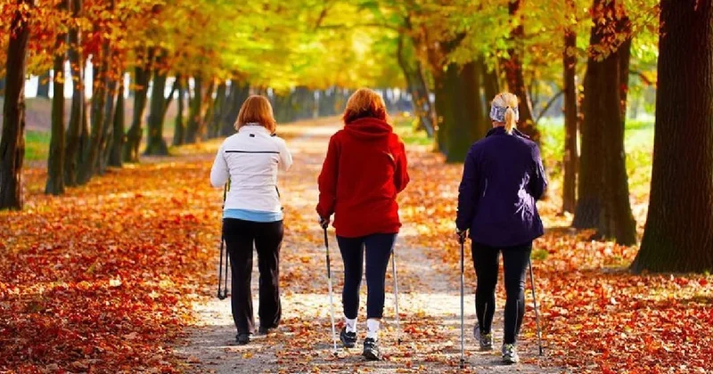 Uzmanlar günlük yürüyüş süresini açıkladı: 50 yaş sonrası olan herkesi ilgilendiriyor Sözcü Gazetesi