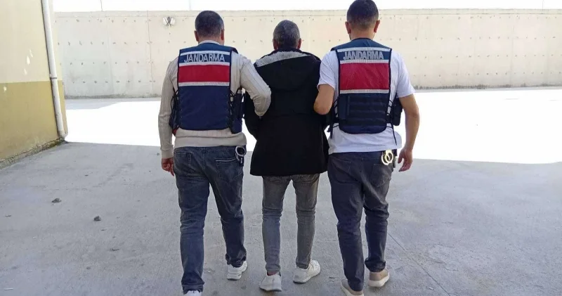 Saklandıkları yerde yakalandılar: Jandarmadan nokta operasyon Gündem Haberleri