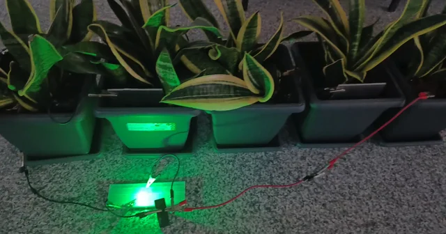 Bitkilerden elektrik üretildi; Bolu ve Ankara dan ekip biyopil geliştirdi Bolu Haberleri