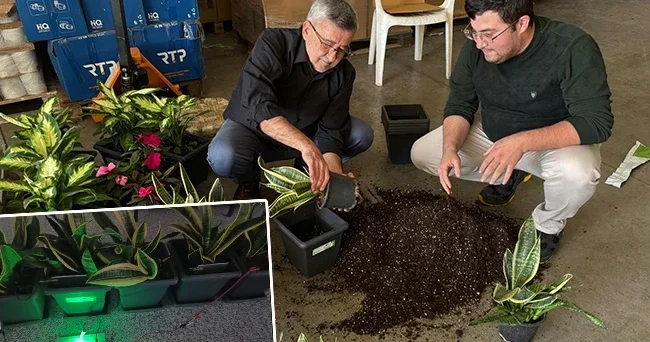 Bitkilerden üretildi: 25 metrekarelik alana yetiyor! Oğlumun sorduğu bir soruyla her şey başladı