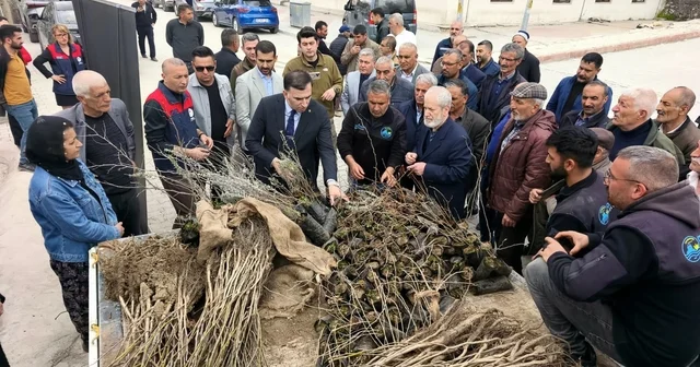 Çemişgezek te vatandaşlara ücretsiz fidan dağıtıldı Tunceli Haberleri