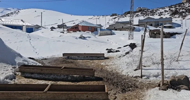 Nisanda kara gömülen mahalle: Kışkılı ya bahar gelmedi Bitlis Haberleri