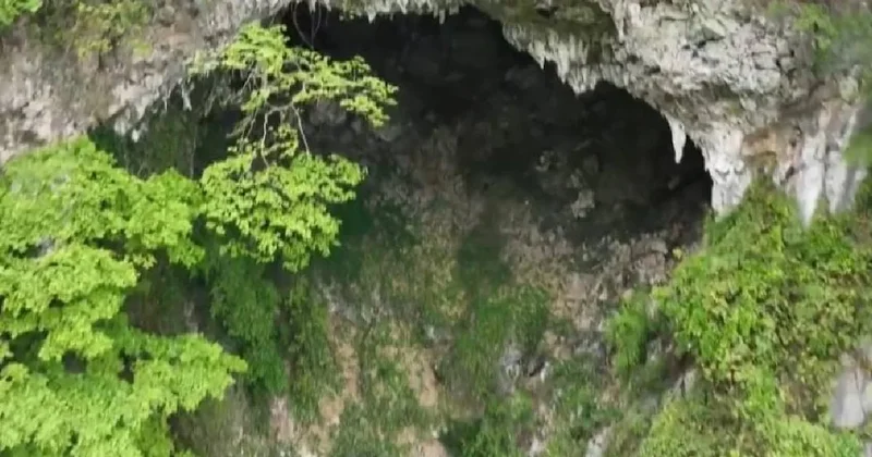 Yerin 200 metre altında dev bir orman bulundu Sözcü Gazetesi