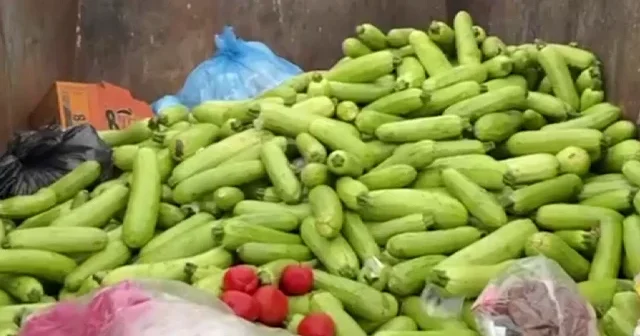 Sebze hali esnafı israfı görünce çileden çıktı: Tonlarca kabak çöpe döküldü VİDEO İZLE