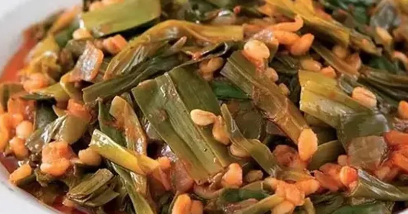 Avrupa nın Türk mucizesi dediği bitki yeniden keşfedildi Sözcü Gazetesi