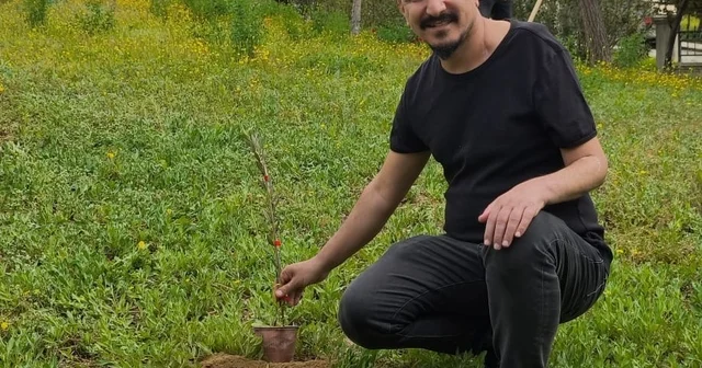 Mut ta hastane bahçesine 150 zeytin fidanı dikildi Mersin Haberleri