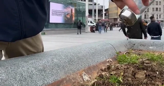 İstanbul’a bahar ekiyor: Sokakları çiçeklerle renklendiren gönüllü sosyal medyada ilgi gördü VİDEO İZLE